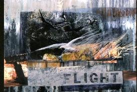 Flight