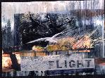 Flight2