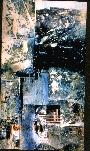 Coarse Structures