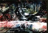 Deep Forest Reflections